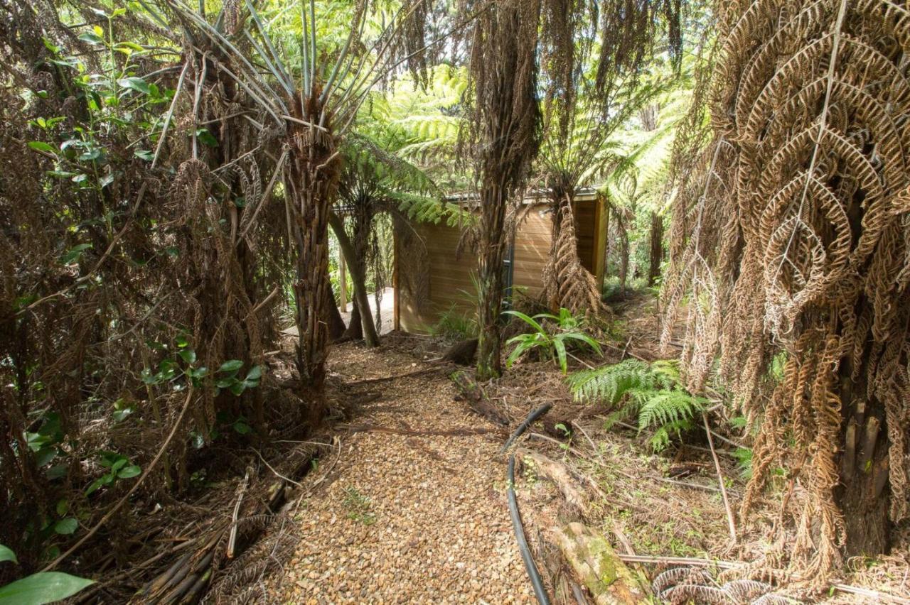 Karaka Sanctuary With Spa Pool By Waiheke Unlimited Oneroa Pokoj fotografie